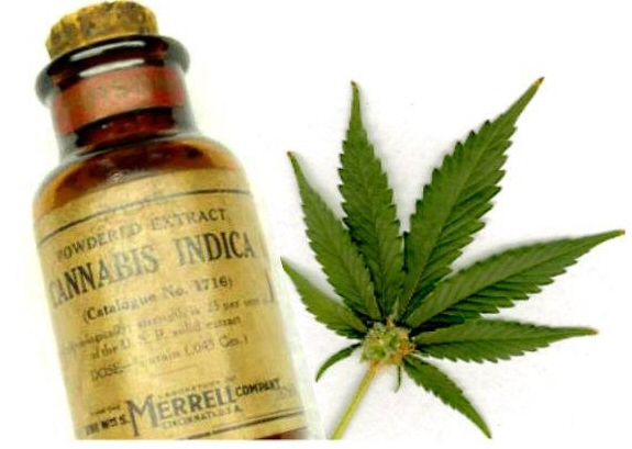 Cannabis Indica Medicine Bottle from 1900s