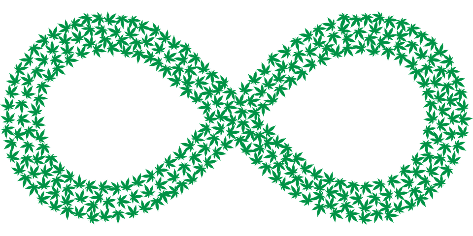 Infinity symbol; cannabis leaves; cannabis; hemp; infinity symbol made from marijuana leaves.