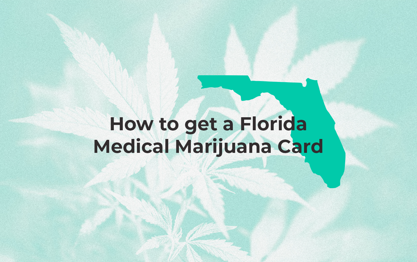 How to Get a Florida Medical Marijuana Card in 2021 | Leafwell