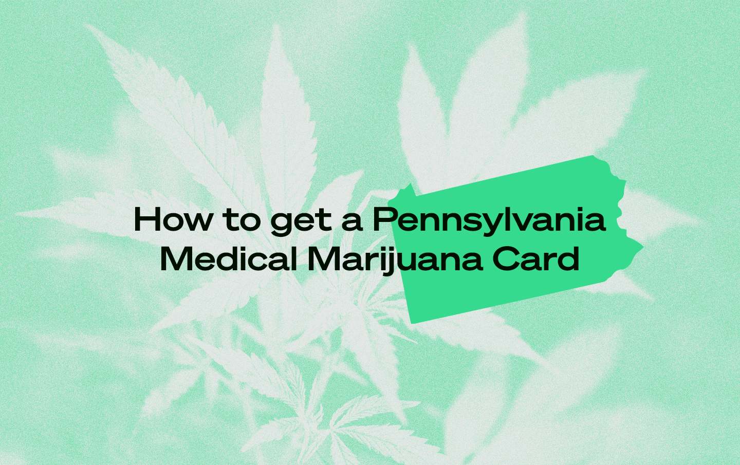 How To Get A Pennsylvania Medical Marijuana Card Leafwell
